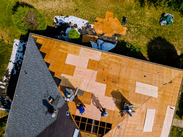 Professional Roofing Contractor in Webster, SD